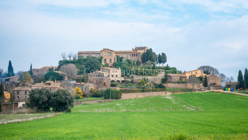 Propietat en venda als afores de Foixà, molt a prop del castell, amb gran terreny i 2 cases