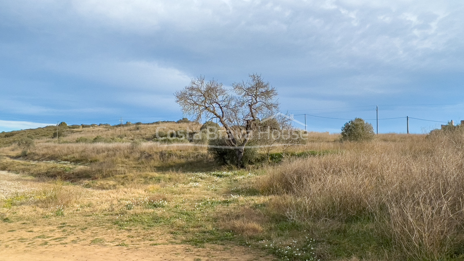 Building plot for sale in Bellcaire d'Empordà with several development options