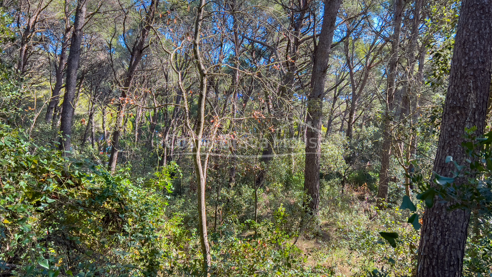 Terrain avec vue mer à vendre à Tamariu, pour construire une maison individuelle jusqu'à 320 m²