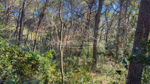 Terrain avec vue mer à vendre à Tamariu, pour construire une maison individuelle jusqu'à 320 m²
