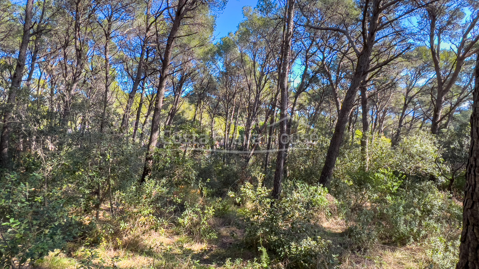 Terrain avec vue mer à vendre à Tamariu, pour construire une maison individuelle jusqu'à 320 m²