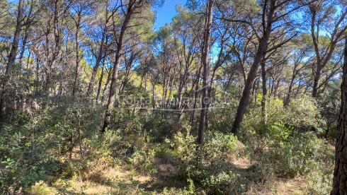 Terrain avec vue mer à vendre à Tamariu, pour construire une maison individuelle jusqu'à 320 m²