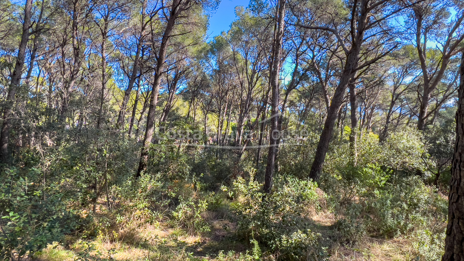 Plot with sea views for sale in Tamariu, to build a detached house up to 320 m²