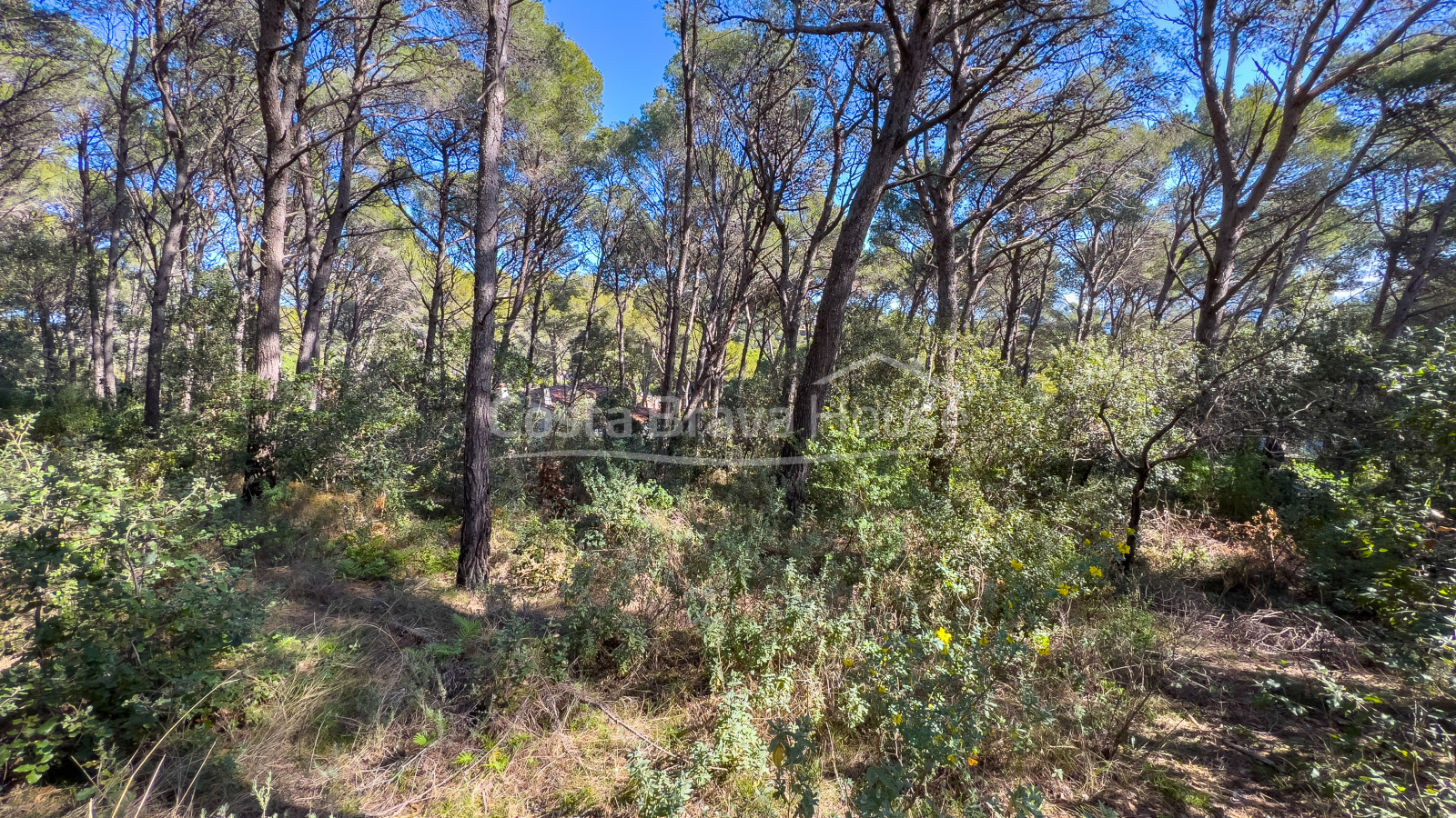 Terrain avec vue mer à vendre à Tamariu, pour construire une maison individuelle jusqu'à 320 m²
