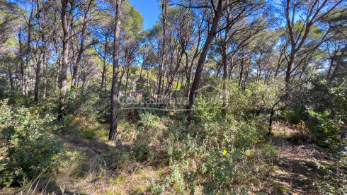 Terrain avec vue mer à vendre à Tamariu, pour construire une maison individuelle jusqu'à 320 m²