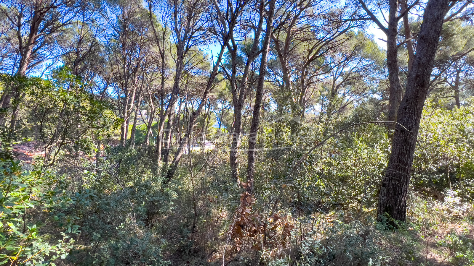 Parcela con vistas al mar en venta en Tamariu, para edificar casa unifamiliar de hasta 320 m²