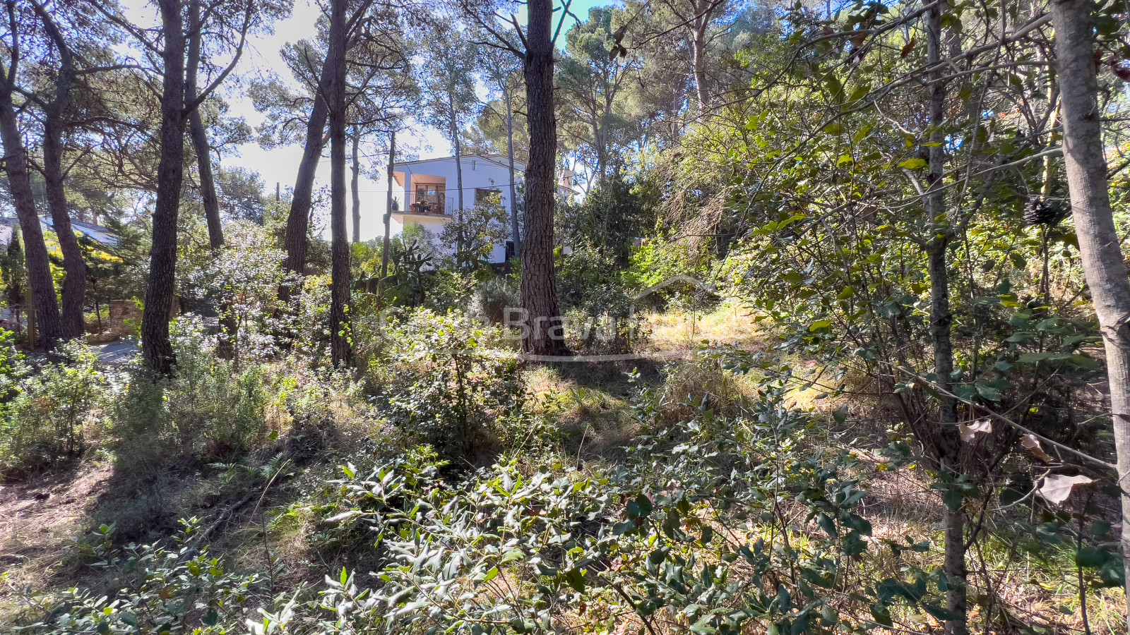 Parcela con vistas al mar en venta en Tamariu, para edificar casa unifamiliar de hasta 320 m²