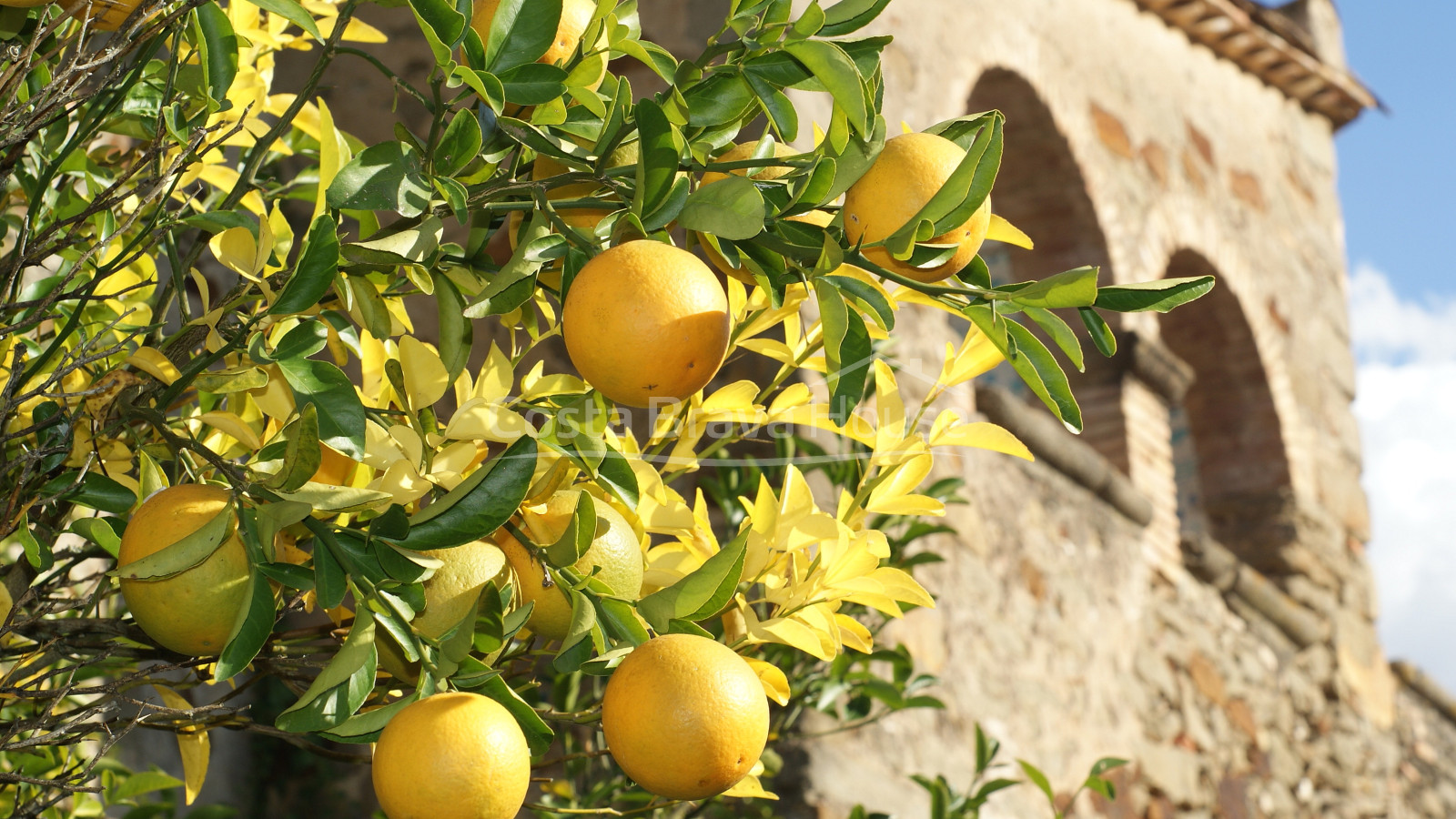 Exclusive finca with two Catalan masias for sale in Sant Martí Vell