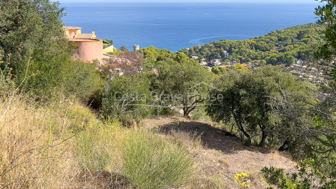 Terrain avec vue mer à Begur Es Valls