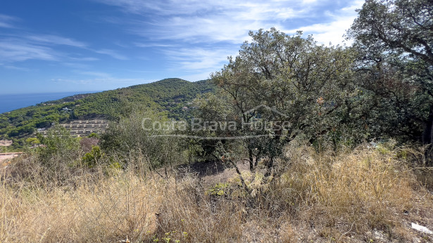 Plot of land with sea views in Begur Es Valls