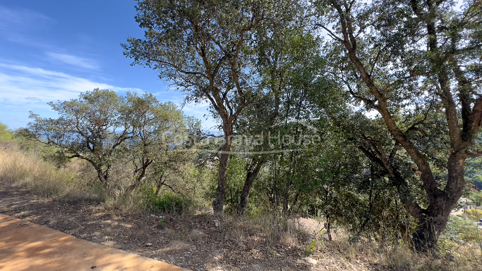 Plot of land with sea views in Begur Es Valls