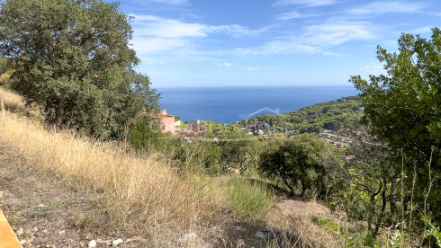 Terreny amb vistes al mar a Begur Es Valls
