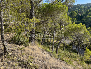 Terreno en venta en Sa Tuna, a cinco minutos de las playas y del centro de Begur