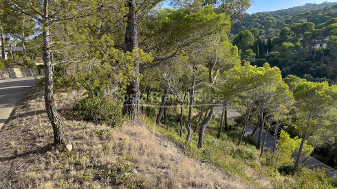 Terrain à Begur à 5 min en voiture de la crique de Sa Tuna