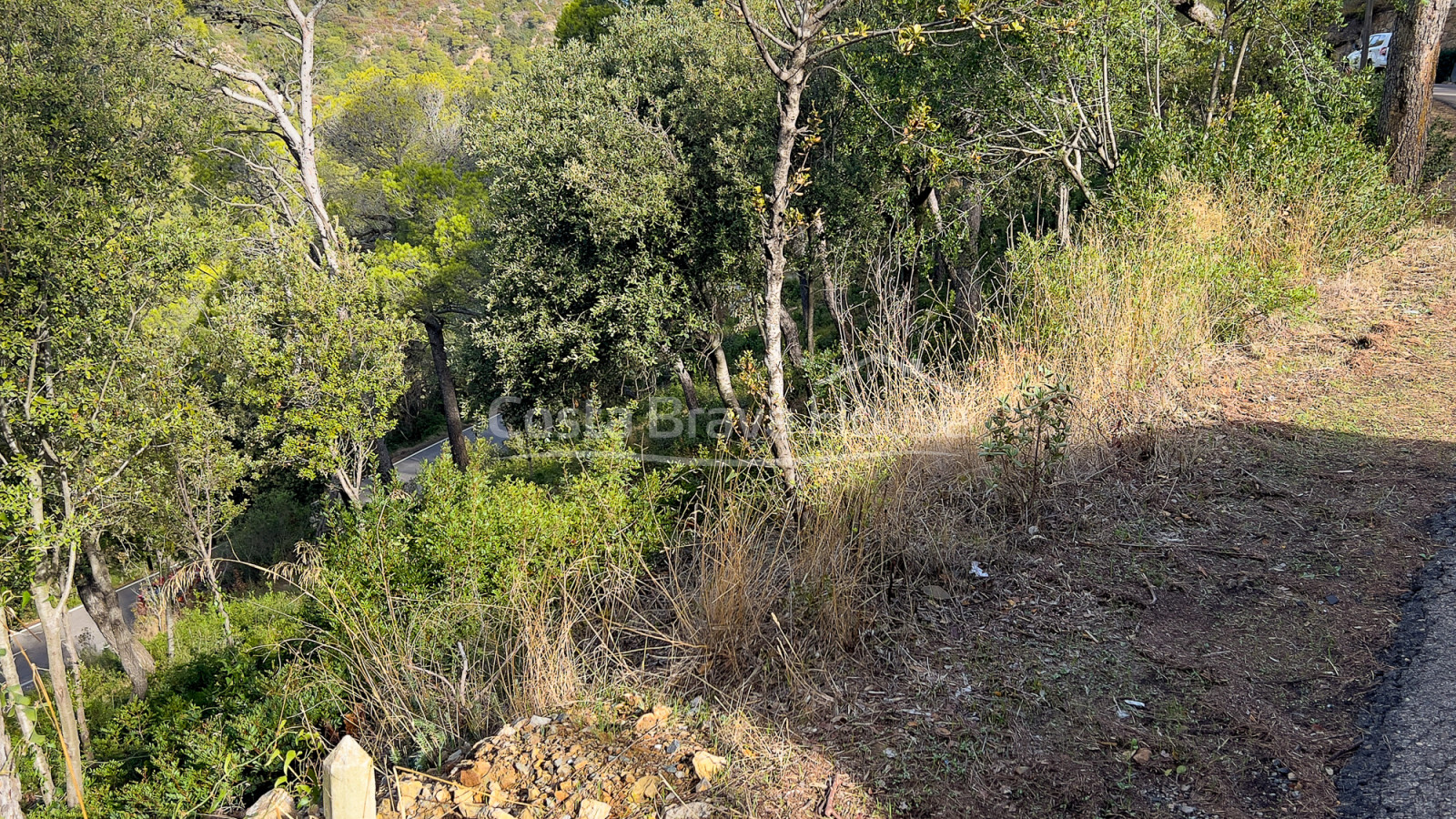 Plot of land in Begur 5 min drive from Sa Tuna cove