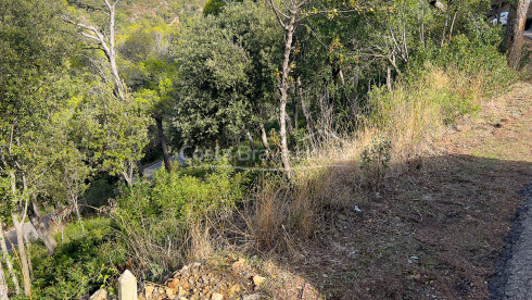 Plot of land in Begur 5 min drive from Sa Tuna cove