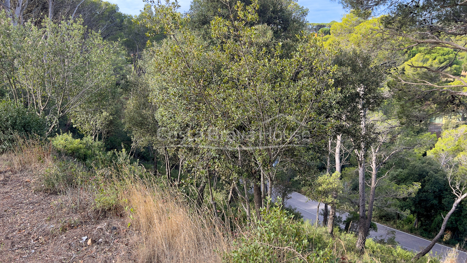 Plot of land in Begur 5 min drive from Sa Tuna cove