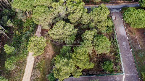 Terreno en Begur, urbanización Casa de Campo