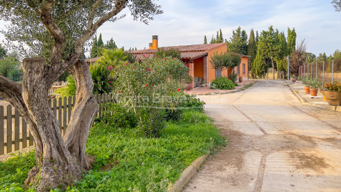 Country estate with a lot of land, 2 houses and stables in Vulpellac