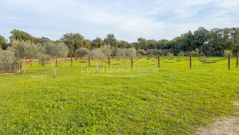 Finca con mucho terreno, 2 casas y caballerizas en Vulpellac