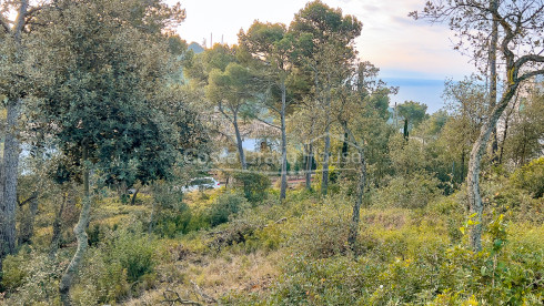 Terrain à vendre à Llafranc avec vue sur la mer et orientation est