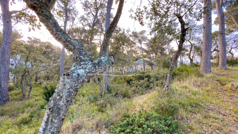 Terrain à vendre à Llafranc avec vue sur la mer et orientation est