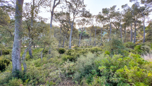 Terrain à vendre à Llafranc avec vue sur la mer et orientation est