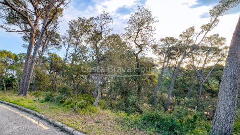 Terrain à vendre à Llafranc avec vue sur la mer et orientation est