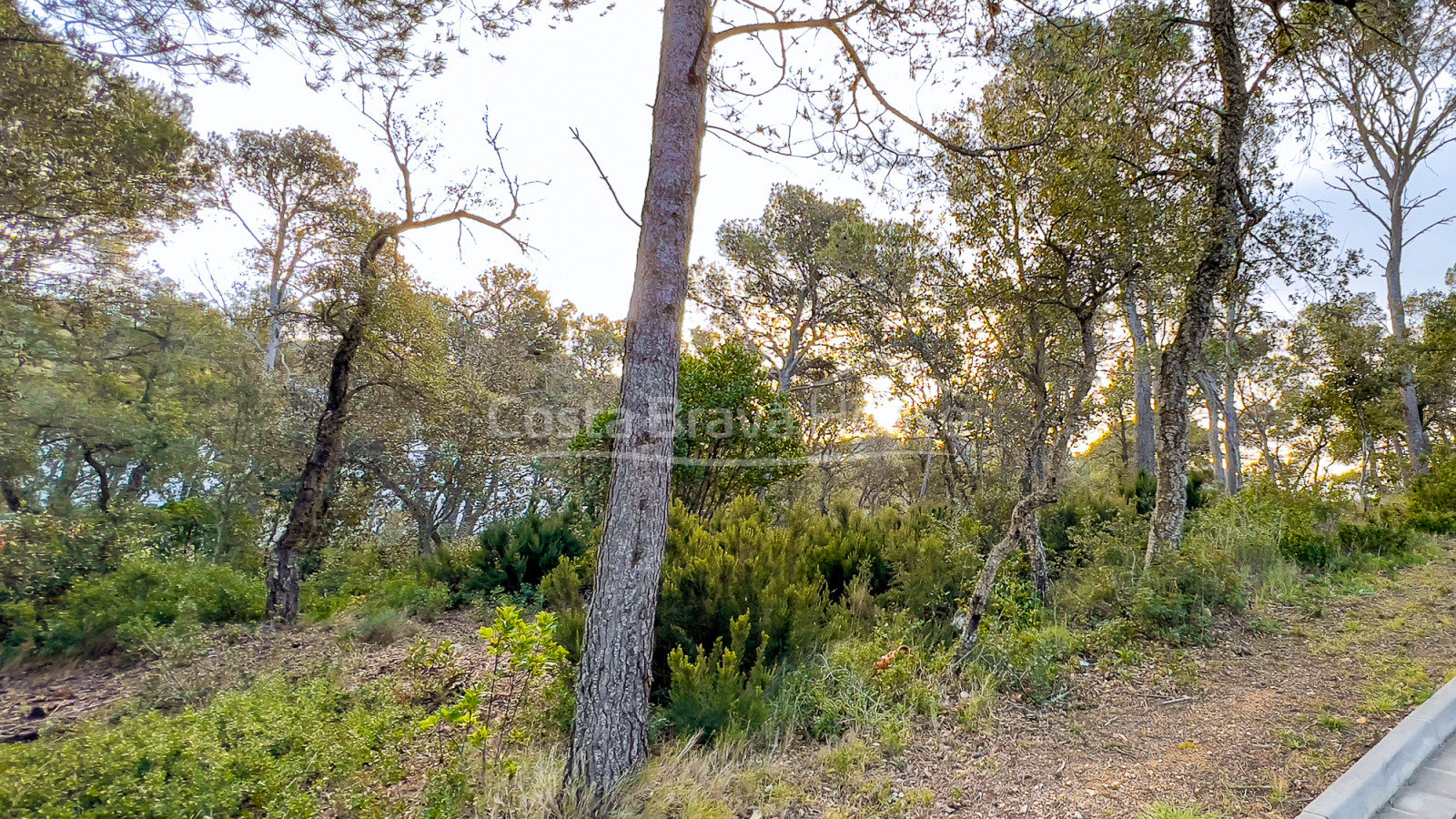 Terreno en Llafranc con vistas al mar y orientación este