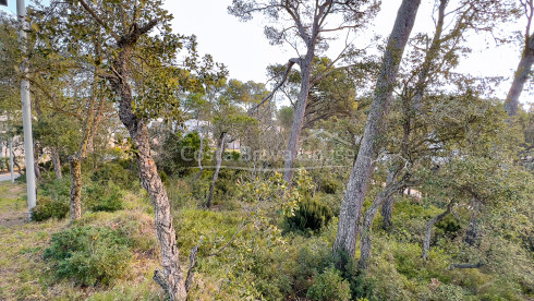 Terreno en Llafranc con vistas al mar y orientación este