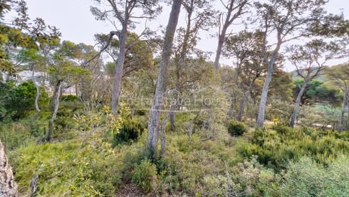 Terrain à vendre à Llafranc avec vue sur la mer et orientation est