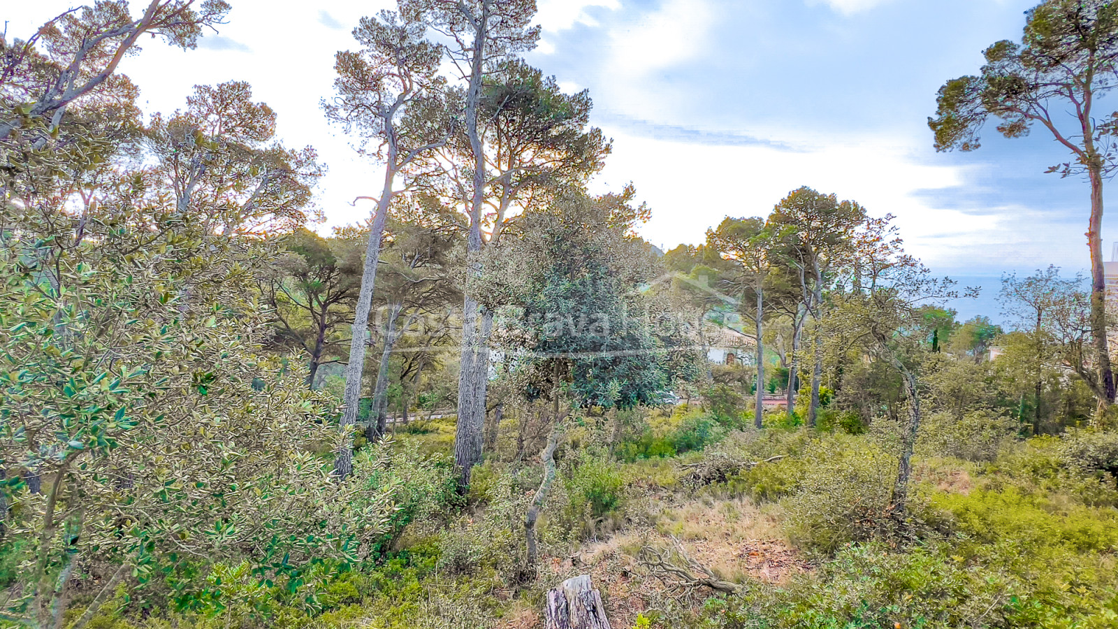 Terrain à vendre à Llafranc avec vue sur la mer et orientation est