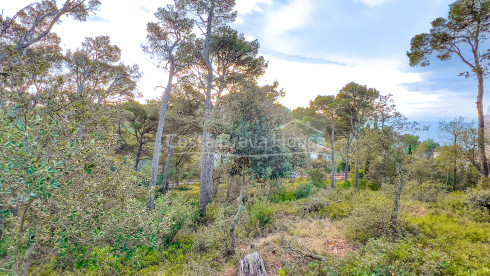 Plot for sale in Llafranc with sea views and east orientation
