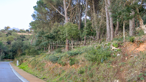 Terreny en venda a 10 minuts a peu del centre de Begur