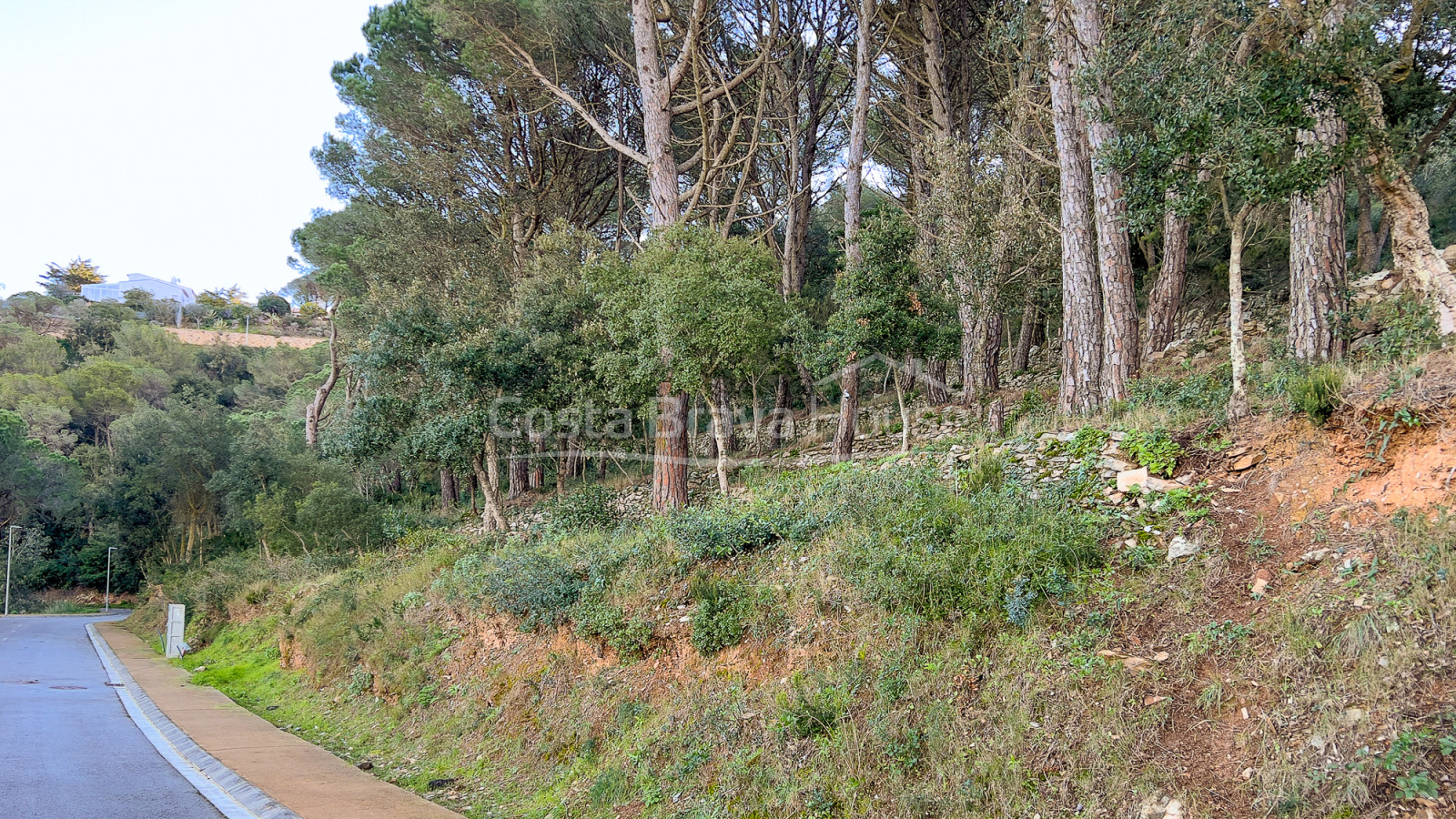 Terrain à vendre à 10 minutes à pied du centre de Begur