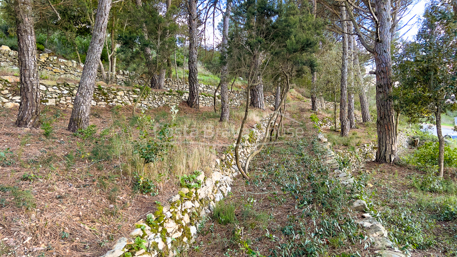 Terreny en venda a 10 minuts a peu del centre de Begur