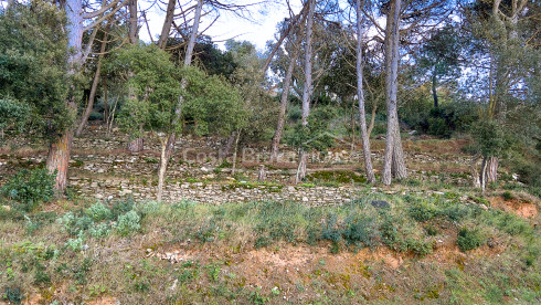 Plot for sale 10 minutes walk from the center of Begur