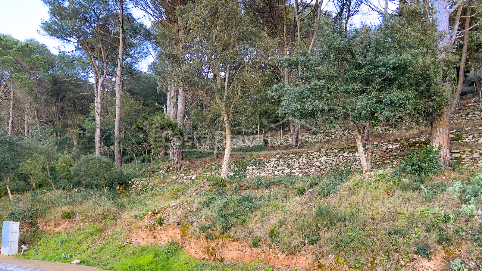 Plot for sale 10 minutes walk from the center of Begur