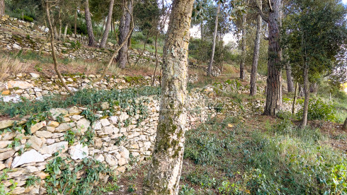 Terreny en venda a 10 minuts a peu del centre de Begur