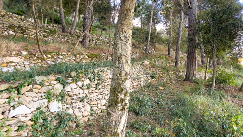 Plot for sale 10 minutes walk from the center of Begur
