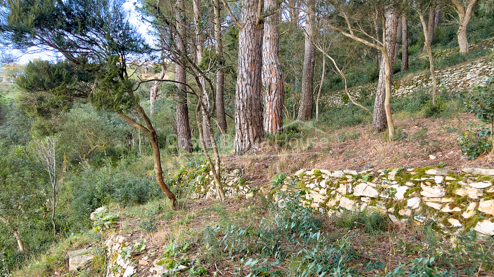 Terreny en venda a 10 minuts a peu del centre de Begur