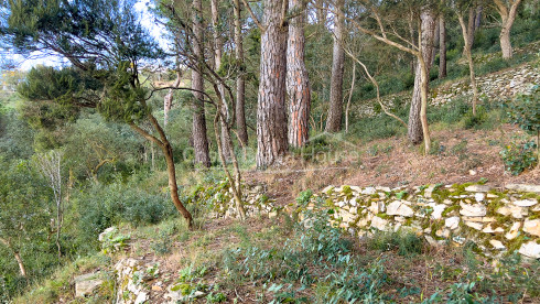 Terrain à vendre à 10 minutes à pied du centre de Begur