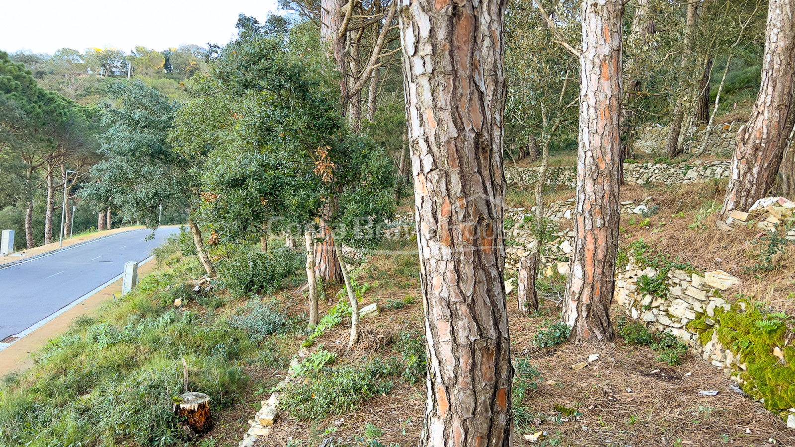 Terreno en venta a 10 minutos a pie del centro de Begur