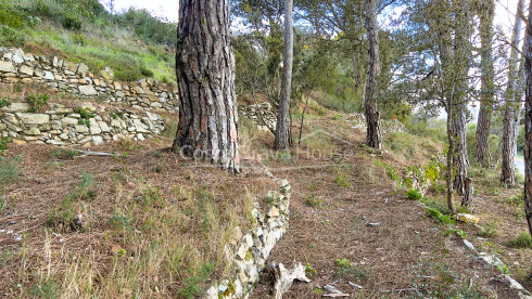 Terreno en venta a 10 minutos a pie del centro de Begur