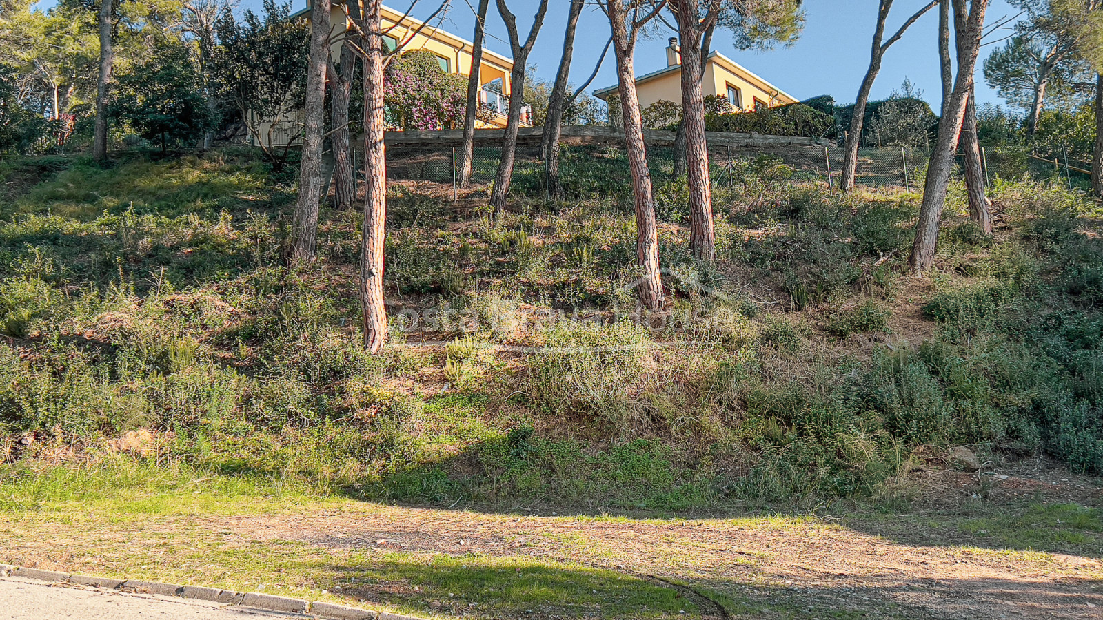 Terreny en venda a Tamariu a 5 minuts a peu de la platja