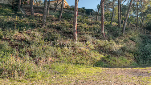 Terreny en venda a Tamariu a 5 minuts a peu de la platja