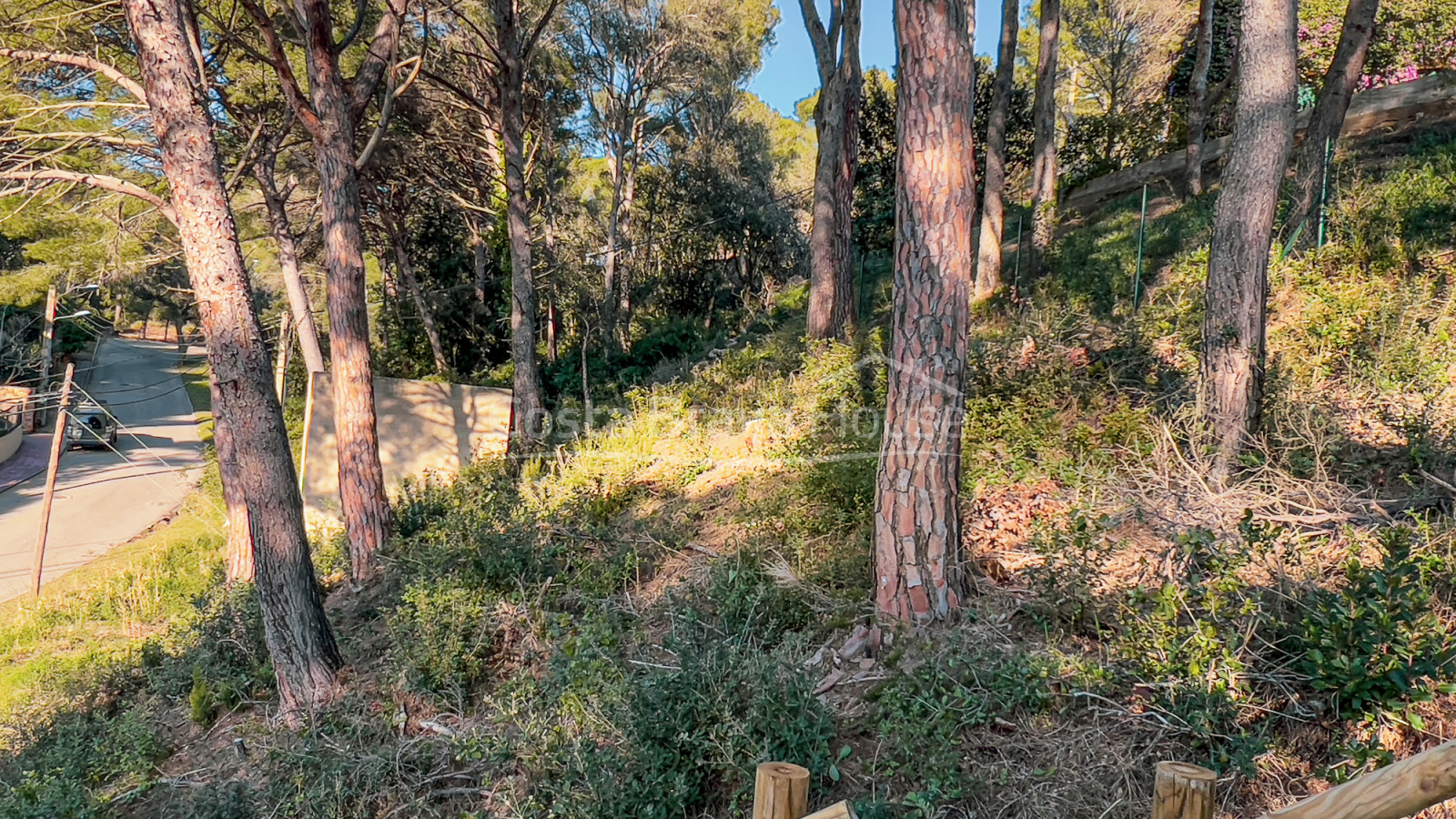 Terreny en venda a Tamariu a 5 minuts a peu de la platja