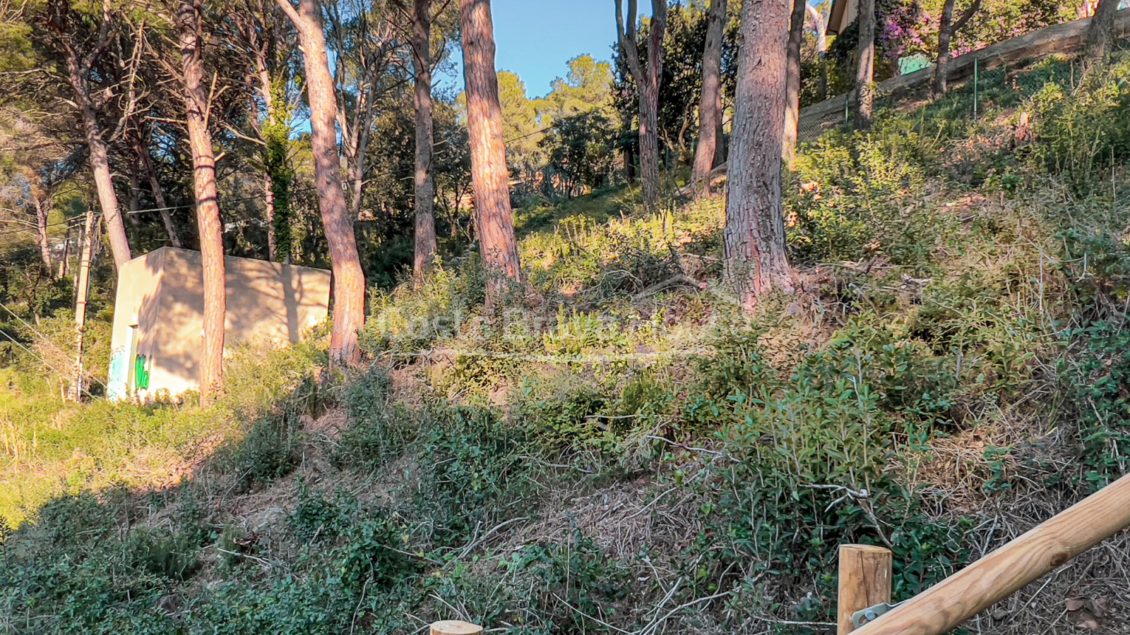 Terreny en venda a Tamariu a 5 minuts a peu de la platja