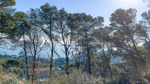 Plot with sea views in Aiguablava Begur