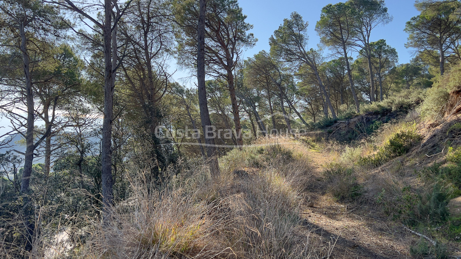 Plot with sea views in Aiguablava Begur
